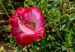 lol 更新补丁-0藂'发煒	P醷d硃?罂?醃紆醴+宵