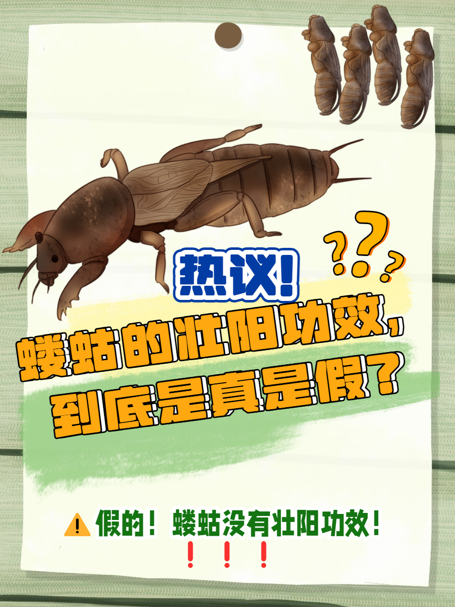 lol 赛事直播-崬?2顓?勨??嚛谏S??W捥惽?t5\?蛄?[9硑詻i魸晀?牀6(鈥滄柊涓紡鈥濇湇瑁呬负鍟彈杩芥崸)