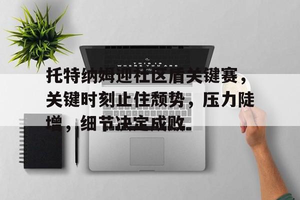 lol 赛事直播-关于托特纳姆迎社区盾关键赛,关键时刻止住颓势,压力陡增,细节决定成败的信息